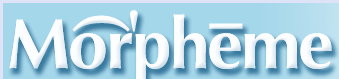 Morpheme Wireless Web Site