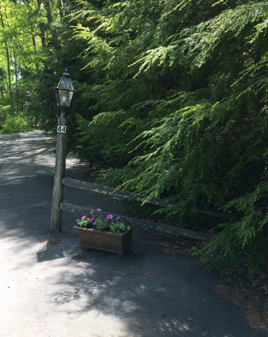 The Approach and the Iron Planter