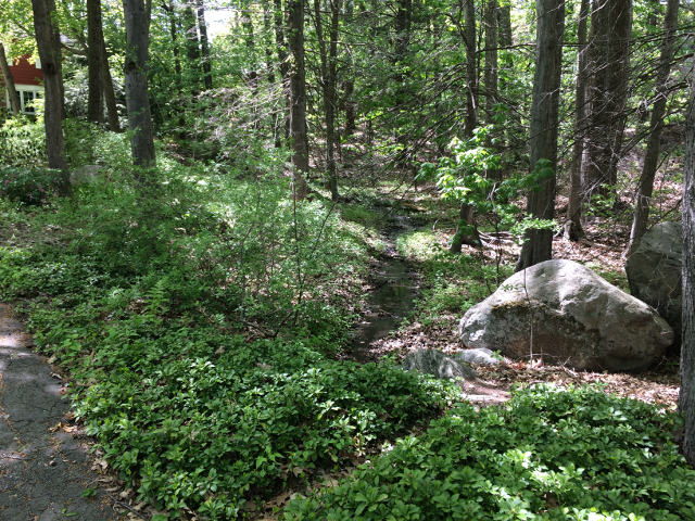 The Side Stream
