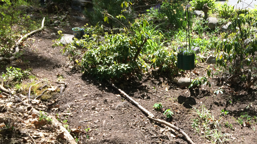 Emilie's Garden, Center