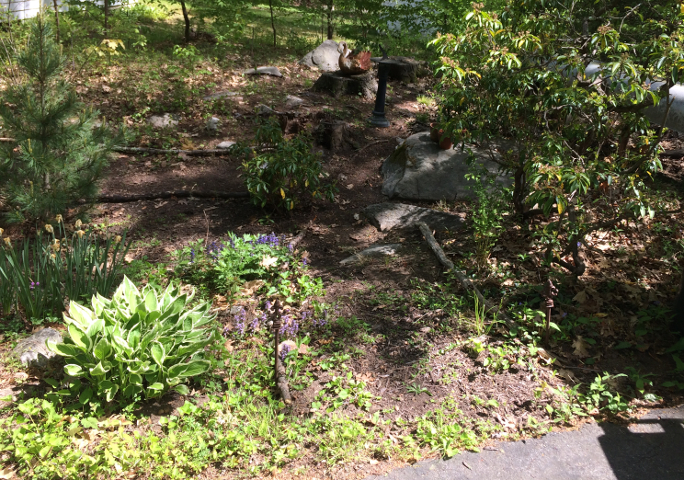 Emilie's Garden, Upper Entrance
