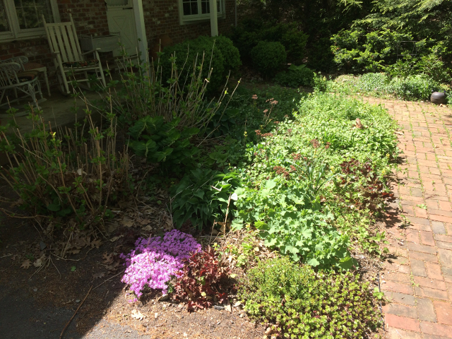 The Front Garden