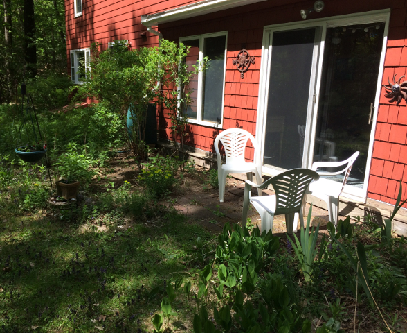 Back Garden
