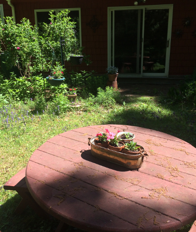 The Picnic Table