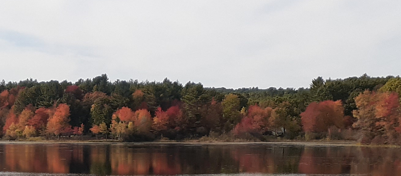 Dawson Pond in October
