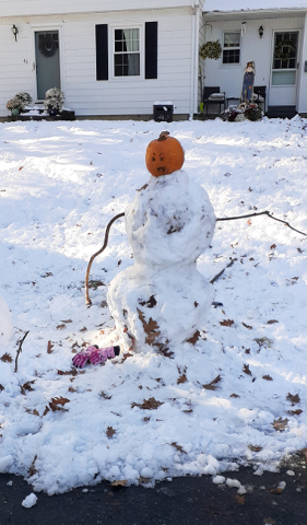 October Snow 3