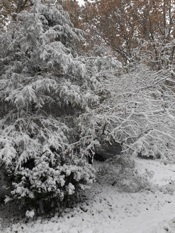 October Snow 2