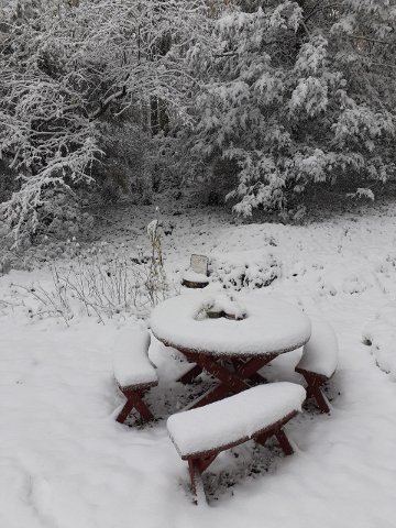 October Snow 3