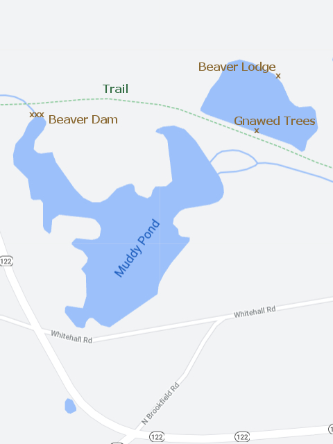 Muddy Pond